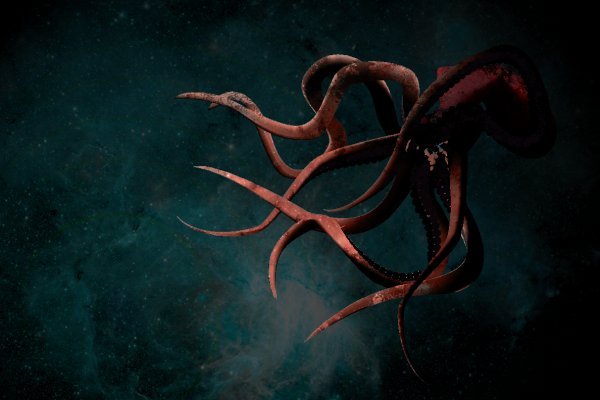 Kraken onion ссылка