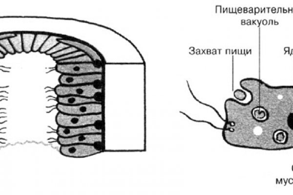 Сайты типа гидры