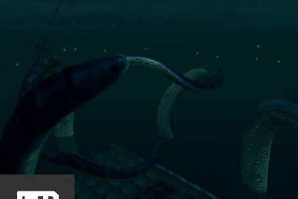 Kraken адрес