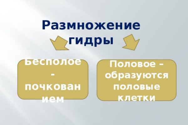 Актуальное зеркало на кракен