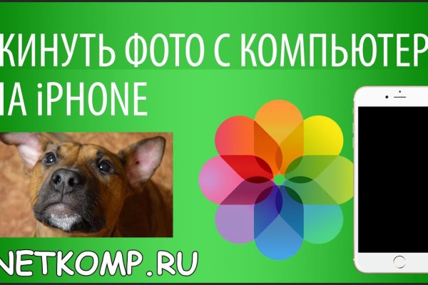 Сайт кракен рабочая ссылка